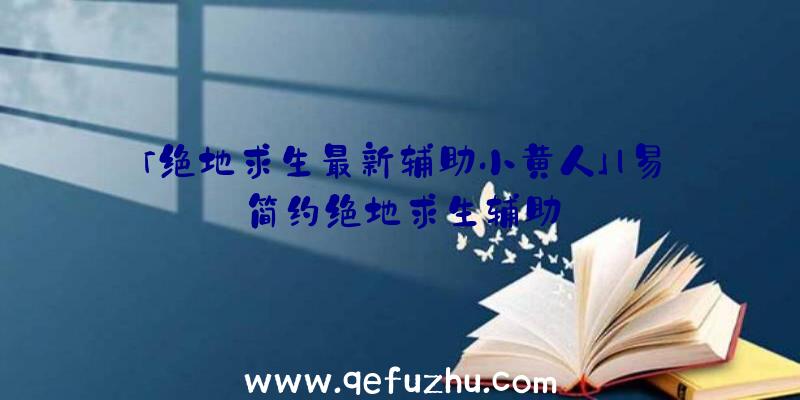 「绝地求生最新辅助小黄人」|易简约绝地求生辅助